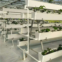 Système d'irrigation goutte-à-goutte en PVC blanc de haute qualité de 3,0 mm d'épaisseur pour serres agricoles, type hydroponique, vente en gros