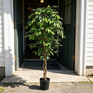 Directly Shipped Factory Real <b>Plastic</b> Banyan <b>Tree</b> Poles-Durable Eco-Friendly Decorative Flower Thanksgiving Wedding Christmas - Product Image 4