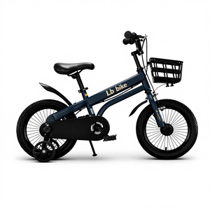 Vélo pour enfant de 12, 14, 16, 18 pouces avec roues d'apprentissage, cadre en acier à haute teneur en carbone, pneus <span class=keywords><strong>AVA</strong></span> larges, selle souple, rayons de 14 mm, paniers, garde-boue - Product Image 5