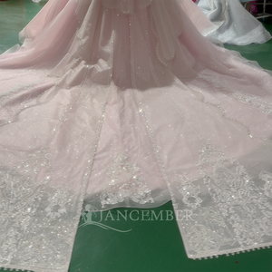 Robes de soirée modernes rose princesse, robes de bal formelles en organza rose avec appliques en dentelle, dos nu, longueur ras du sol, pour Quinceañera - Product Image 2