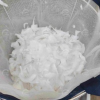 Temperatuurregeling multifunctionele machine voor het blancheren van maïs, fruit, groenten en kokoschips voor kokosvlees/gelei-snacks