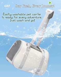 Échantillon Gratuit : Sac de Transport Souple pour Animaux de Compagnie, Approuvé par les Compagnies Aériennes, pour Chiens de Petite Taille, Chiots, Chats de Taille Moyenne et Chats de Petite Taille - Product Image 4