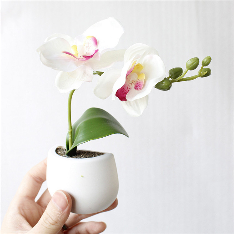 サボテンと人工花の装飾用植物