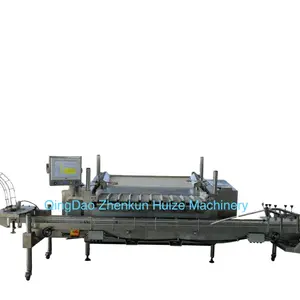 A Complete Set Of Blueberry Automatic Packaging Transportation And Packing Machinery
