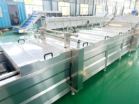 Ligne de production automatique de braisage à la vapeur pour viande marinée et fruits de mer