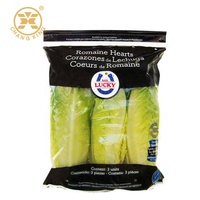 Filet de fruits imprimé personnalisé, emballage réutilisable de légumes, sac de laitue avec trous d'aération Micro perforés