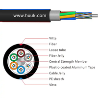Hot-sales GYTA 2 4 6 8 12 24 36 48 72 96 144 288 Core G652D SM Cable de fibra óptica blindado de tubo suelto trenzado
