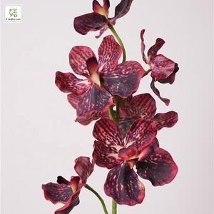 Fleur hydratante haut de gamme 7 têtes Real Touch papillon <span class=keywords><strong>Vanda</strong></span> orchidée fleurs pour salon mariage décoration extérieure - Product Image 5