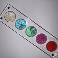 Marque privée Arcly Super Sparkle Palette d'ombres à paupières multichromes Duochrome personnalisée 5 couleurs