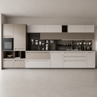 Meubles de cuisine modernes et minimalistes de luxe, solution de mobilier sur mesure pour toute la maison, pour projets résidentiels