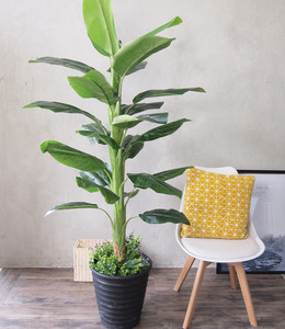 Ingrosso sempreverde foglie di seta finte 160cm Ficus Microcarpa Bonsai albero decorazione Ficus pianta plastica artificiale Banyan albero - Product Image 3