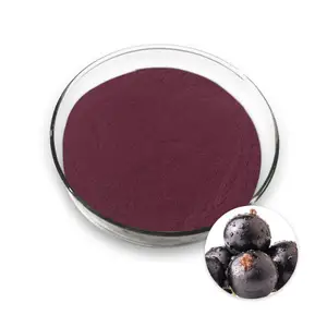 Grosella fruta sabor polvo grosella negra fruta jugo concentrado polvo Soluble en agua negro cosmético fruta extracto salvaje