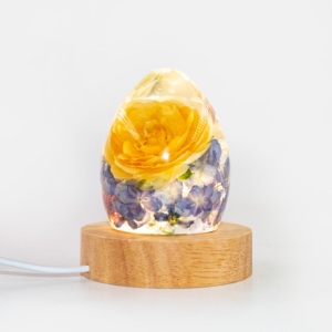 Nhựa Thủ Công Mỹ Nghệ Quà Tặng Giáng Sinh Khô Hoa Mẫu Dẫn Ánh Sáng Ban Đêm Cho Trang Trí Nội Thất Valentine Của Ngày Quà Tặng - Product Image 2