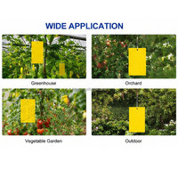 Pièges à colle anti-insectes carrés jaunes très efficaces, adhésifs double face, faciles à utiliser pour le contrôle des tiques, pour usage en pelouse (États-Unis)