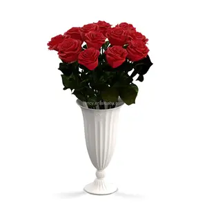 Saint Valentin Cadeau PORCELAINE VASE Eternal Forever 12 Longue Tige Eternity Rose Fleur Préservée