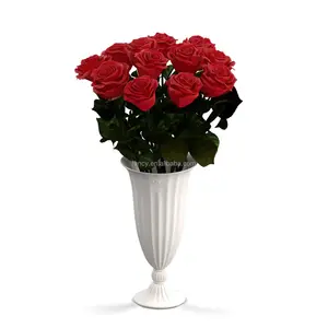 Dia Dos Namorados Presente PORCELAIN VASE Eternal Forever 12 Long Stem Eternidade Rosa Flor Preservada