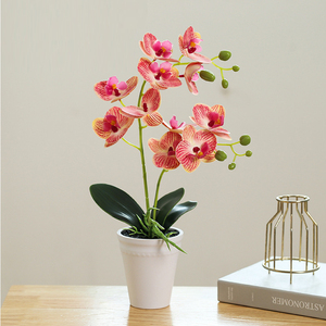 Phalaenopsis Kunstmatige Ingemaakte Kantoordecoratie Kleine Potfotografie Bonsai Groene Plant Decoratieve Potten - Product Image 5