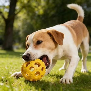 Aşınmaya Dayanıklı Kauçuk Evcil Hayvan Oyuncağı Köpek Çiğneme Topu Diş Temizleyici İnteraktif Silikon Kauçuk Köpek Oyuncakları - Product Image 6