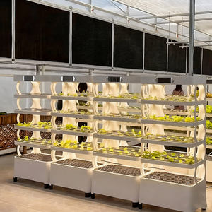 Sistema de cultivo vertical para interiores, jardín hidropónico inteligente para el hogar, cultivo interior inteligente con componente de bomba central - Product Image 6