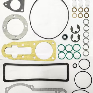 Kits de réparation de pompe à carburant de haute qualité PN(A) pour la révision de pompe Diesel et le remplacement du kit de joint - Product Image 1