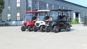 Voiturettes de golf électriques 4-6 places Moteur alimenté par batterie à vendre avec pare-chocs