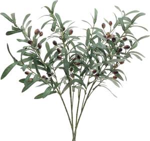 Oferta Especial: Rama de Olivo Artificial de 4 Ramas con Hojas de Seda, Sin Frutos, para Decoración de Bodas, Acción de Gracias, Navidad y Hogar - Product Image 1