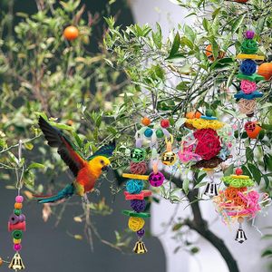 Juguetes ecológicos modernos para loros, columpio para jaula, juguetes para masticar para loros, juguetes educativos para pájaros, set combinado. - Product Image 4
