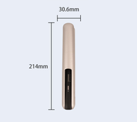 Lisseur de cheveux professionnel en céramique résistant à la chaleur, rechargeable, portable, sans fil, fer à lisser USB, usage domestique, français/espagnol