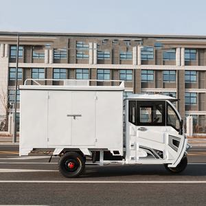 Tricycle personnalisé <span class=keywords><strong>Trike</strong></span> <span class=keywords><strong>électrique</strong></span> Dumper pour adulte en Europe marché Philippines Mexique tricycle <span class=keywords><strong>électrique</strong></span> à 3 roues - Product Image 2