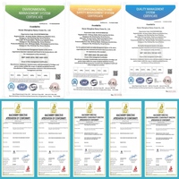 Plateforme élévatrice verticale mobile électrique à double mât en aluminium Shenghua GTWY certifiée CE, mini élévateur de personne pour intérieur