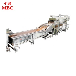 Máquina Industrial de limpieza y lavado de uva para fruta - Product Image 6