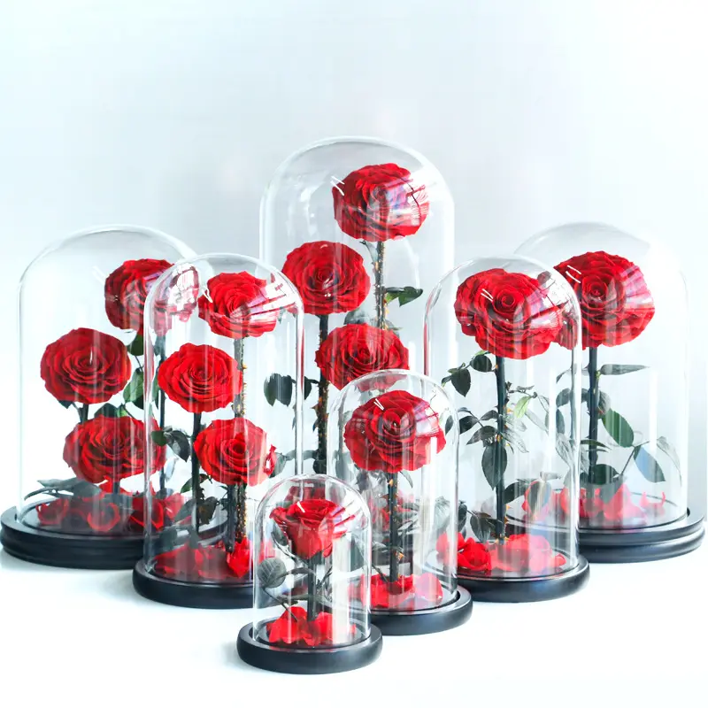 Hot Selling Red Preserved Rose with Glass Dome Mini Artificial Flowers Preserved Flowers for Valentines day Gifts Wholesale