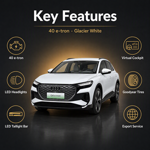 <span class=keywords><strong>Audi</strong></span> Q4 <span class=keywords><strong>E</strong></span>-<span class=keywords><strong>Tron</strong></span> 40 Dual Motor AWD <span class=keywords><strong>SUV</strong></span> Elettrico Usato, Piattaforma MEB, 5 Posti, Emissioni Zero, Guida a Sinistra - Product Image 2