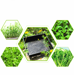Pots <span class=keywords><strong>de</strong></span> pépinière pour plantes d'extérieur, plateau <span class=keywords><strong>de</strong></span> semis en plastique, robuste, pour pépinière <span class=keywords><strong>de</strong></span> <span class=keywords><strong>jardin</strong></span> - Product Image 4