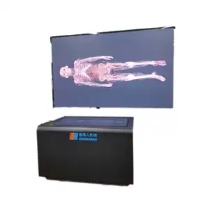 3D Human Model 3D Structure for Anatomical Teaching Course Medical School