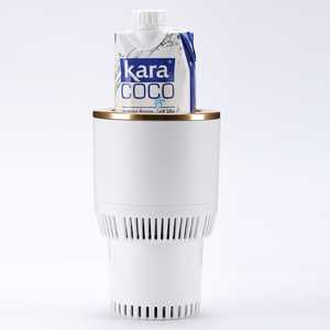 Venta superior <span class=keywords><strong>amazon</strong></span> gadgets 2 en 1 de refrigeración y calefacción <span class=keywords><strong>mini</strong></span> refrigerador - Product Image 6