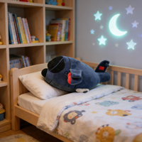 Jouets en peluche d'avion personnalisés de haute qualité produits dérivés culturels créatifs échantillon gratuit de marchandises faisant votre conception