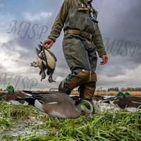 Leurres de Chasse Silhouette Wigeon Ultraréalistes Anti-Rayures, Légers et Recyclables – Vente en Gros Usine