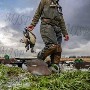 Stampi Anatra Fischione a Sagoma Riciclabili Ingrosso Fabbrica Stampo Leggero Antigraffio Realistico Per Caccia - Product Image 2