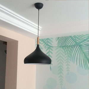 Nouvelle lampe décorative en aluminium à tête unique de style nordique, macaron, LED, pour magasin de vêtements, restaurant, <span class=keywords><strong>lustre</strong></span> - Product Image 4