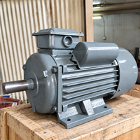 Moteur électrique monophasé à induction AC BIODTE 220V 1HP à 5.5HP 50/60Hz à couple élevé série YL pour pompes à eau et machines