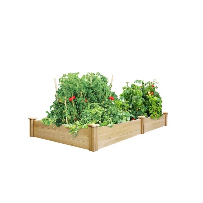 Wooden Raised Garden Bed for Vegetable Plants and Flower