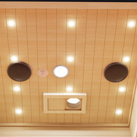 Venta caliente una persona Light Wave Room Saunas Low Emf Smart Sauna Room