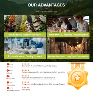 Bột chiết xuất nhân sâm Panax <span class=keywords><strong>Notoginseng</strong></span> hữu cơ chất lượng cao, đạt chứng nhận GMP, hàm lượng Notoginsenoside 10% - 80%, sản phẩm cao cấp hỗ trợ lưu thông máu - Product Image 5