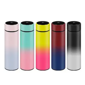 Vente chaude 500ml Bouteille d'eau intelligente de marque privée en acier inoxydable à double paroi avec affichage de la température LED