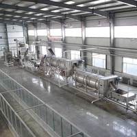 Xdx Fruit Banaan Kurkuma Knoflook Uien Cacaopoeder Verwerking Poeder Maken Machine Productielijn