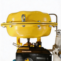 Vanne de régulation de gaz pneumatique Flowserve avec construction de type globe et garniture de type cage pour un contrôle précis du débit