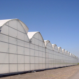 Serre agricole à plusieurs travées à dents de scie, haute ventilation, pour l'agriculture commerciale - Product Image 5