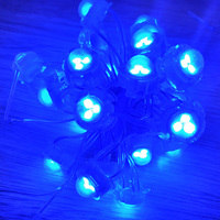 Source de lumière ponctuelle monochrome 12V 2cm, étanche IP67, rouge, blanc, bleu, vert, jaune, éclairage LED à pixels