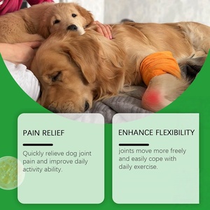 Suplemento de Glucosamina y Condroitina para Perros - Masticables Blandos Sin Granos de Rápida Absorción para Aliviar el Dolor de Cadera y Articulaciones - Product Image 5